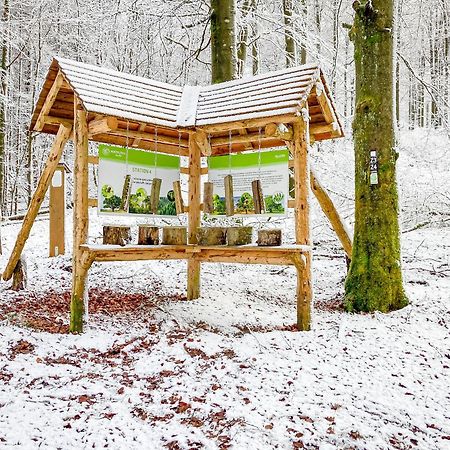 Alte Schule Winterberg Luxury Apartments Zewnętrze zdjęcie