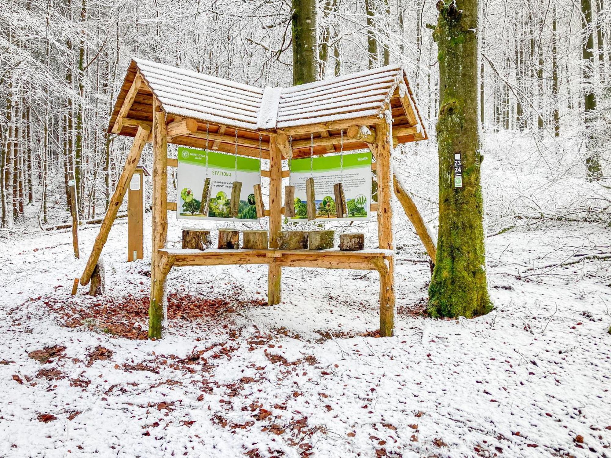 Alte Schule Winterberg Luxury Apartments Zewnętrze zdjęcie